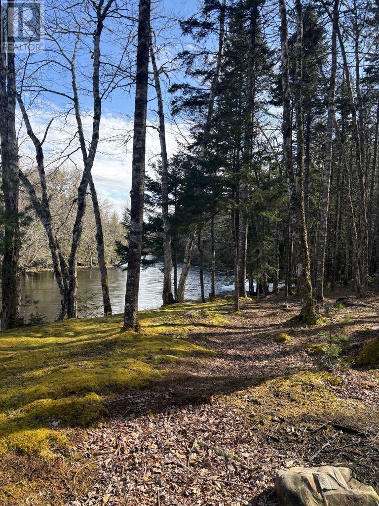 790 Depot Road, East Kemptville, Nova Scotia  B5A 5P4 - Photo 5 - 202517946