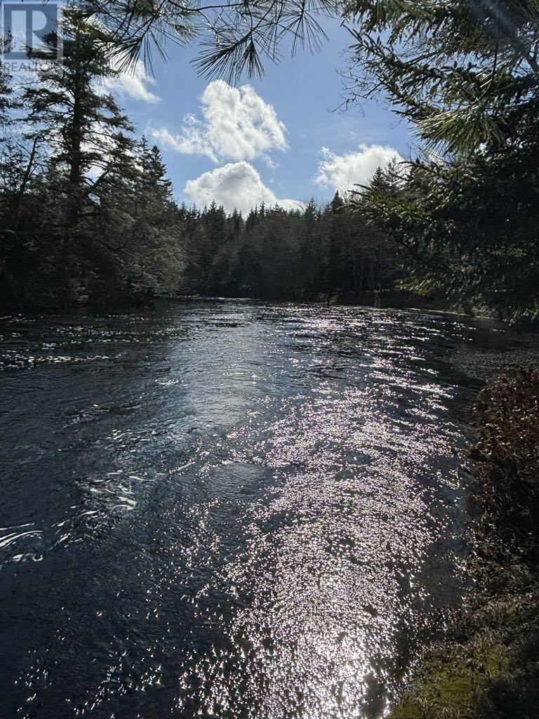 790 Depot Road, East Kemptville, Nova Scotia  B5A 5P4 - Photo 6 - 202517946