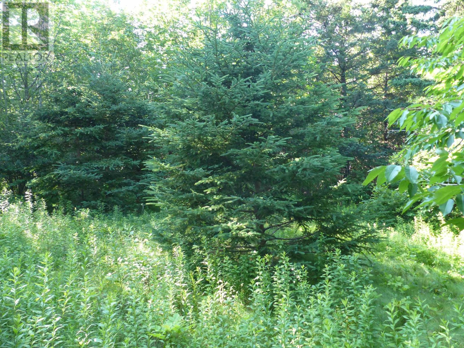 Lot 1 Highway 1, Clementsport, Nova Scotia  B0S 1E0 - Photo 10 - 202517987