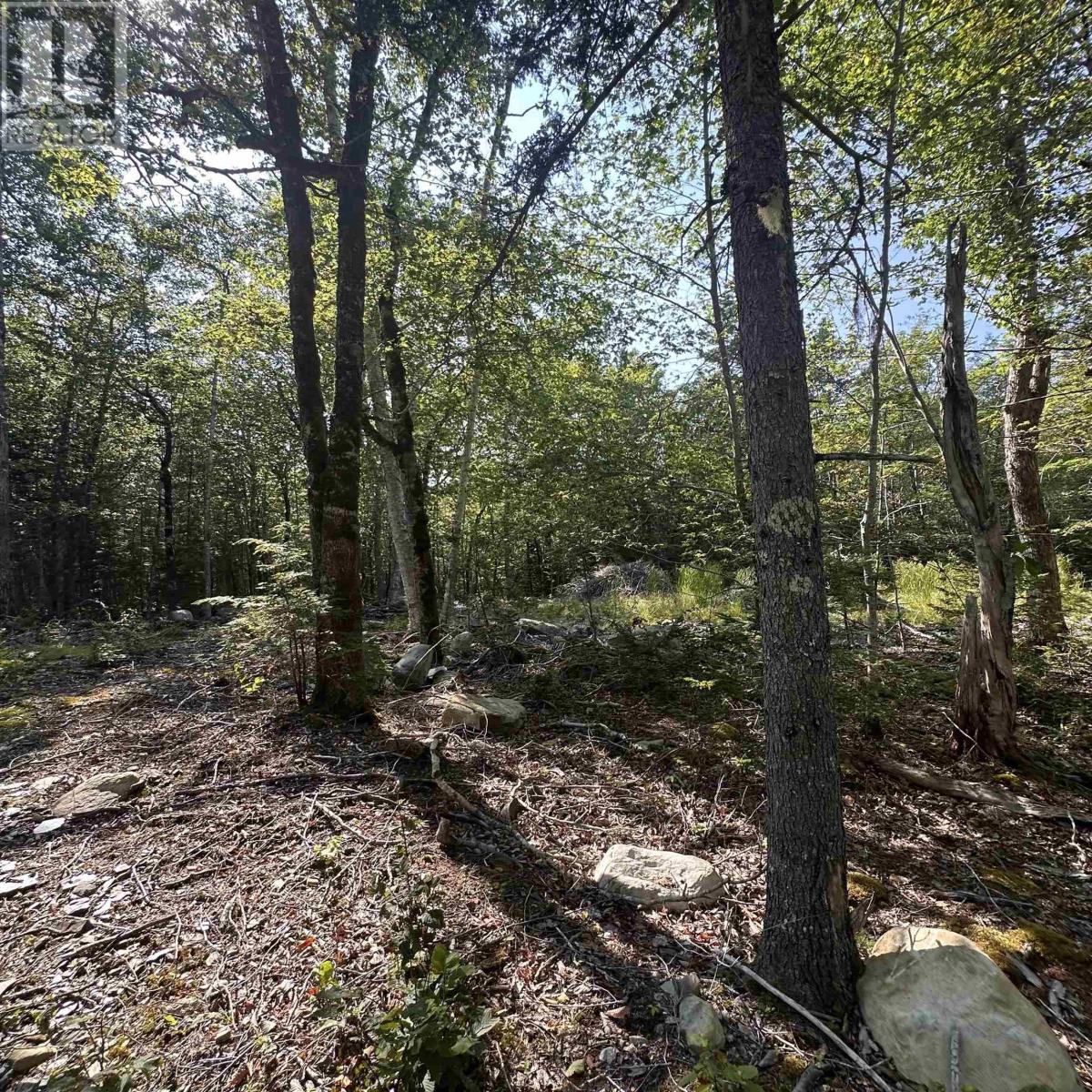 Lot 49 Island View Terrace, Labelle, Nova Scotia  B0T 1E0 - Photo 2 - 202517994