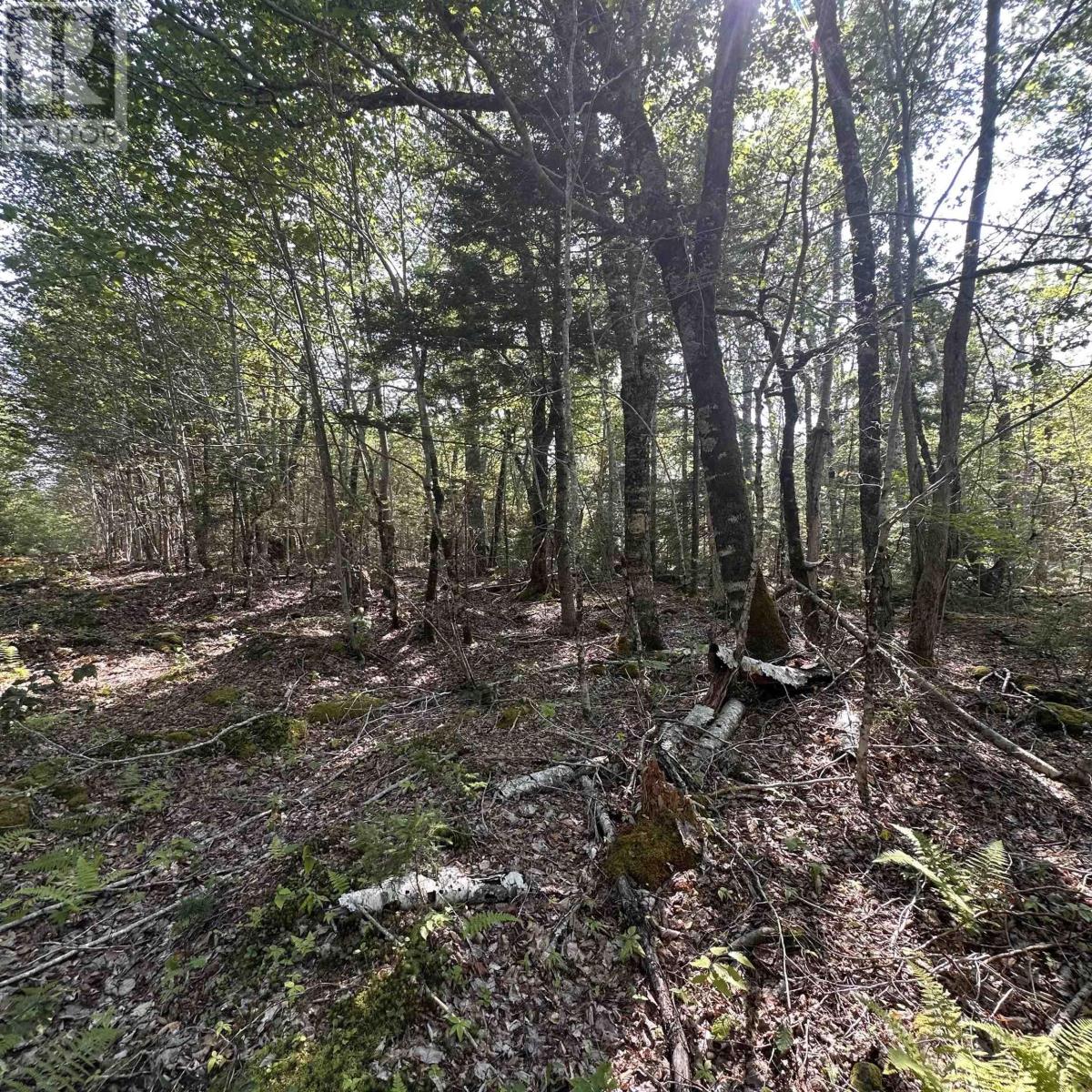Lot 49 Island View Terrace, Labelle, Nova Scotia  B0T 1E0 - Photo 4 - 202517994
