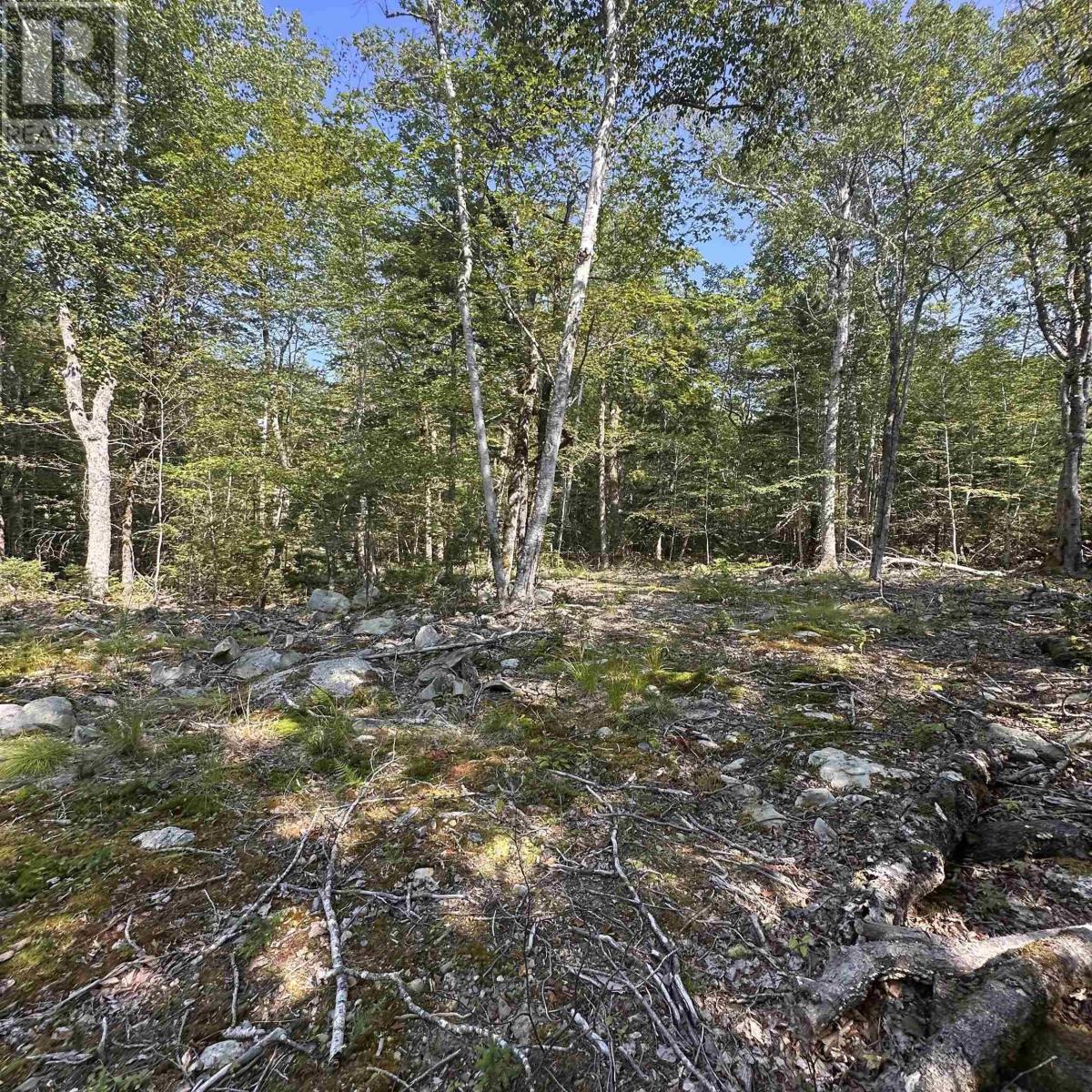 Lot 49 Island View Terrace, Labelle, Nova Scotia  B0T 1E0 - Photo 8 - 202517994