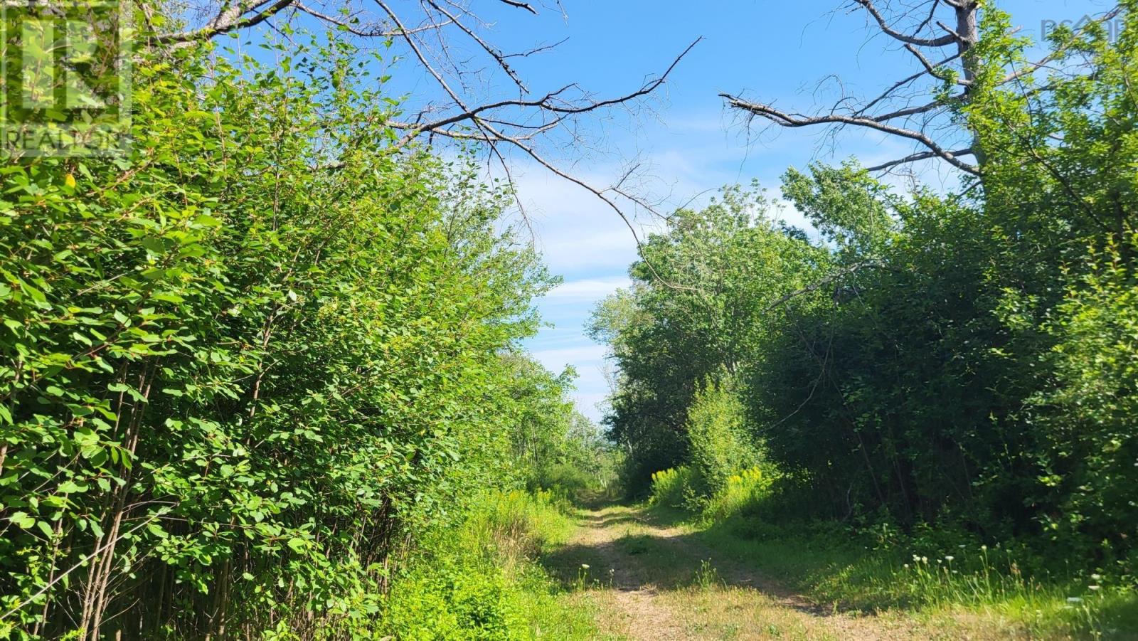 2628 Granville Road, Karsdale, Nova Scotia  B0S 1A0 - Photo 2 - 202518060