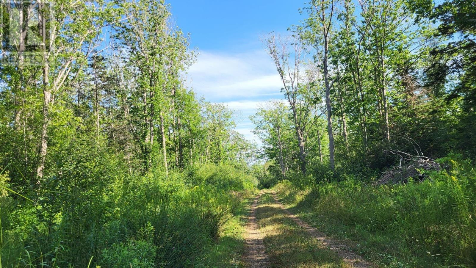 2628 Granville Road, Karsdale, Nova Scotia  B0S 1A0 - Photo 3 - 202518060