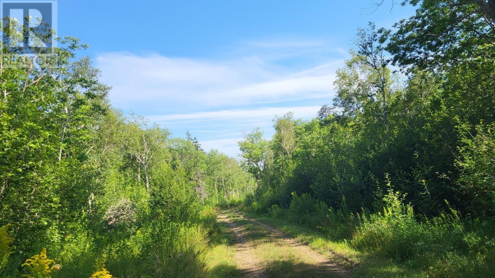 2628 Granville Road, Karsdale, Nova Scotia  B0S 1A0 - Photo 4 - 202518060