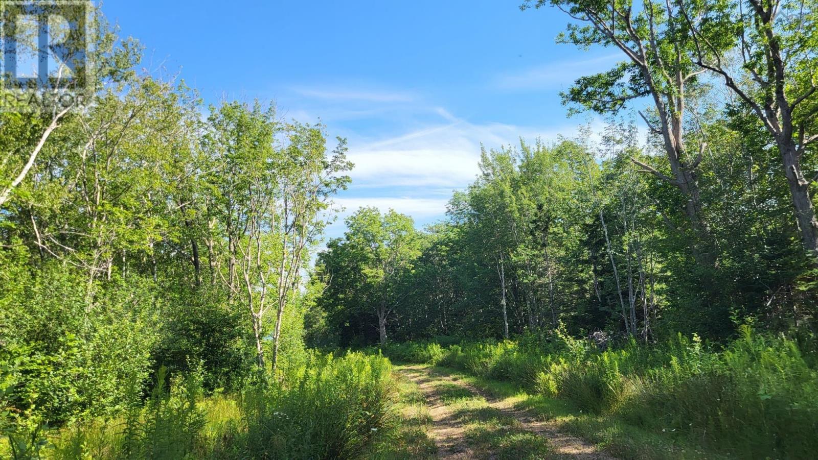 2628 Granville Road, Karsdale, Nova Scotia  B0S 1A0 - Photo 5 - 202518060