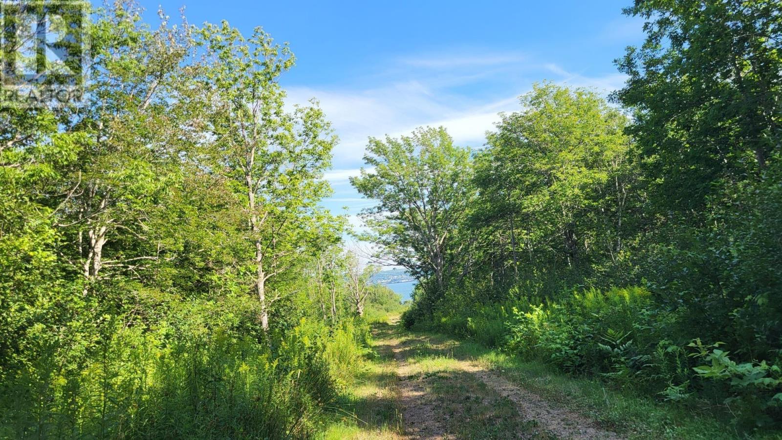 2628 Granville Road, Karsdale, Nova Scotia  B0S 1A0 - Photo 6 - 202518060