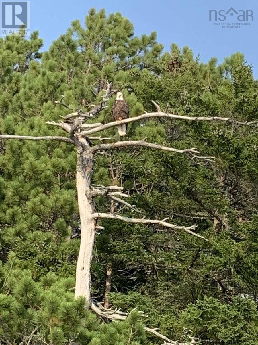 11 Lakeshore Drive, Aylesford Lake, Nova Scotia  B0P 1C0 - Photo 27 - 202518085