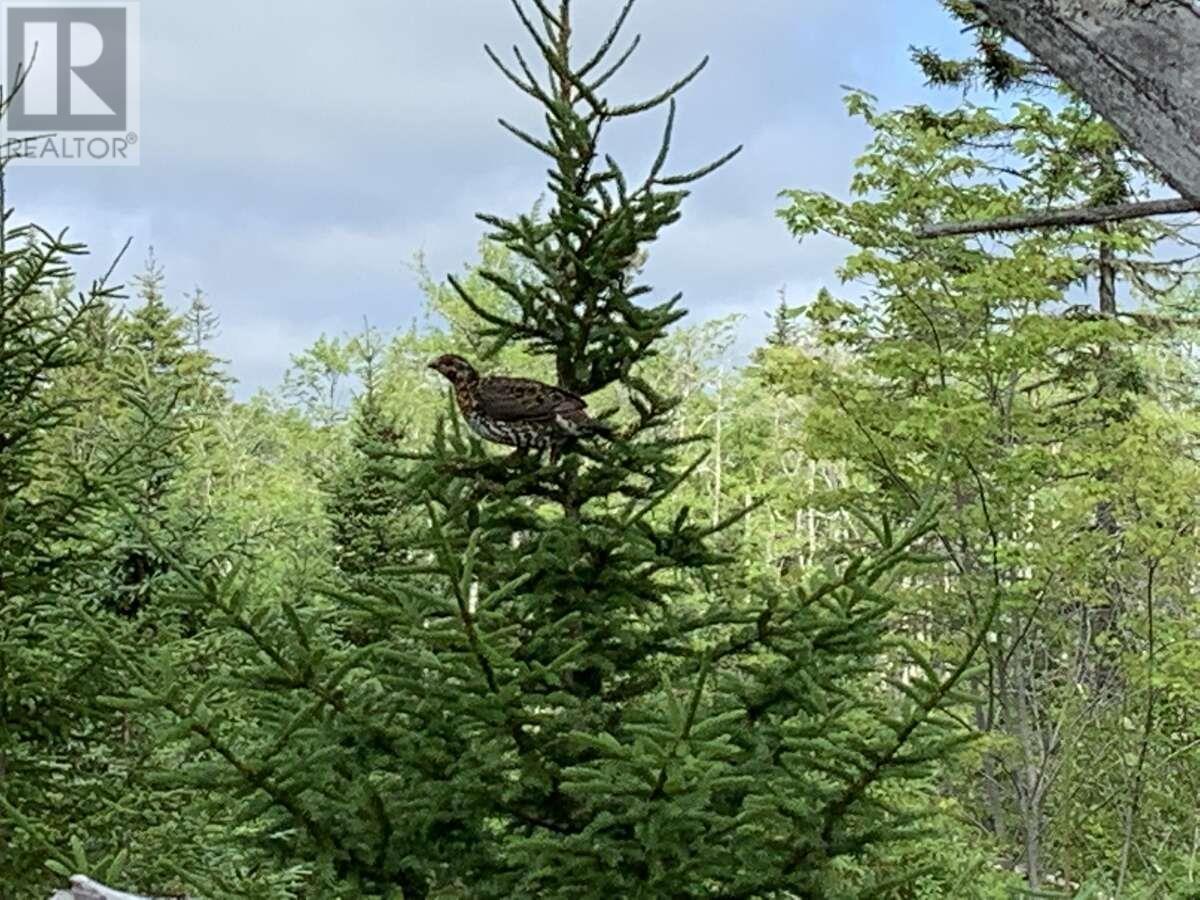 11 Lakeshore Drive, Aylesford Lake, Nova Scotia  B0P 1C0 - Photo 28 - 202518085