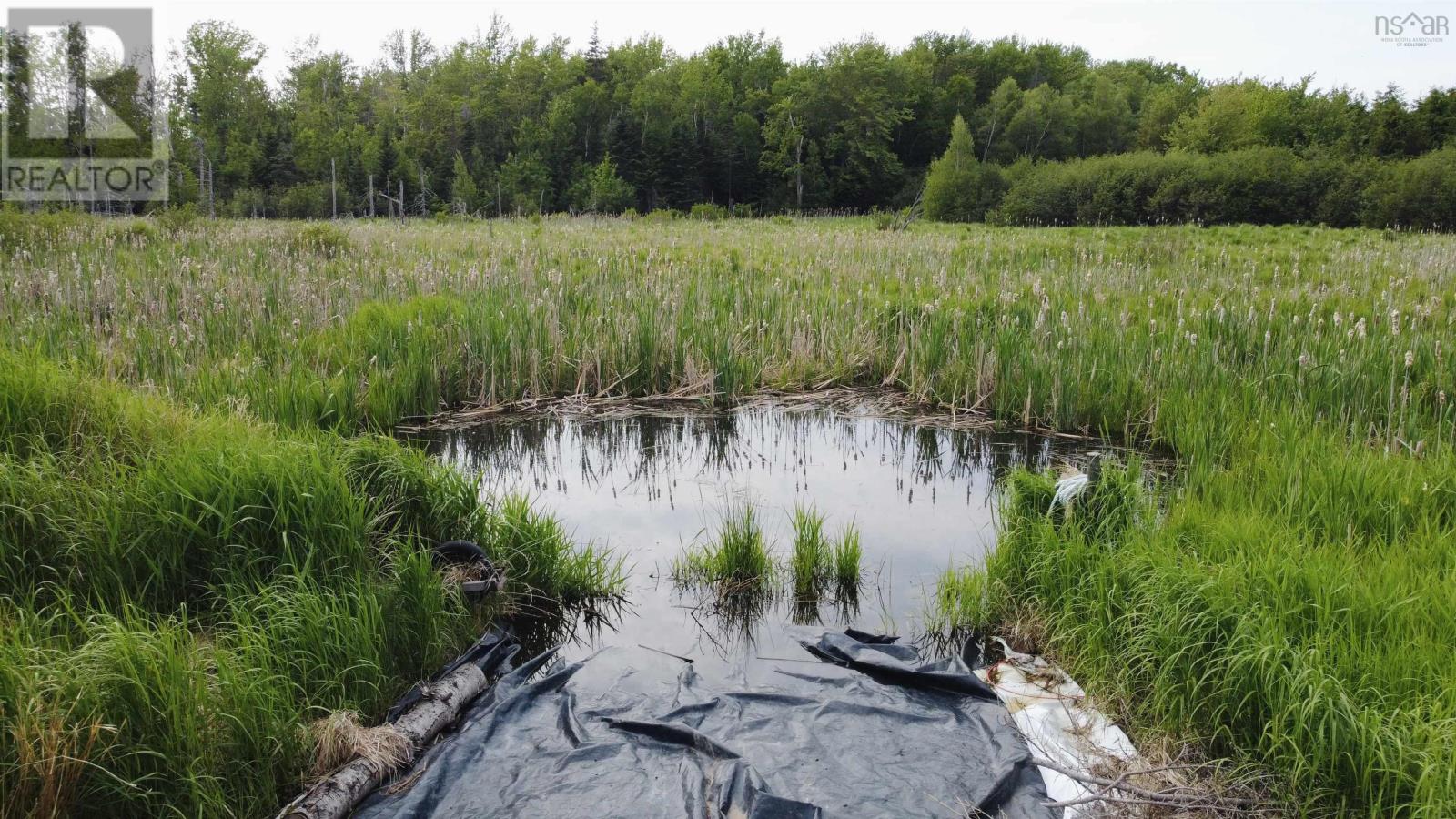 5 Carlson Lane, Marshville, Nova Scotia  B0K 1N0 - Photo 13 - 202518125