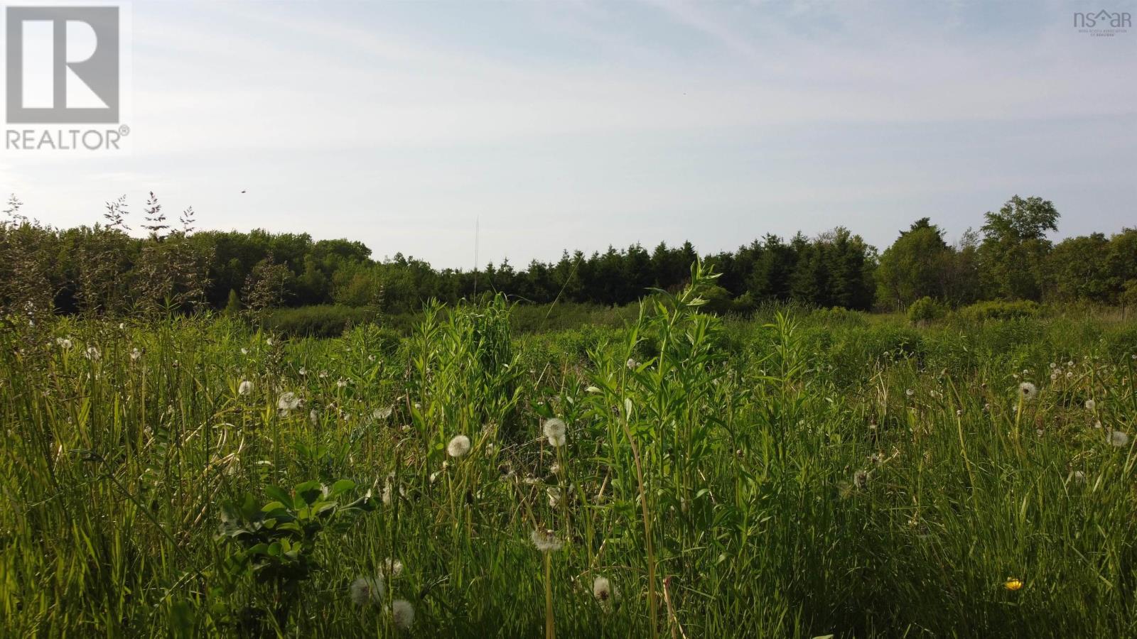 5 Carlson Lane, Marshville, Nova Scotia  B0K 1N0 - Photo 14 - 202518125
