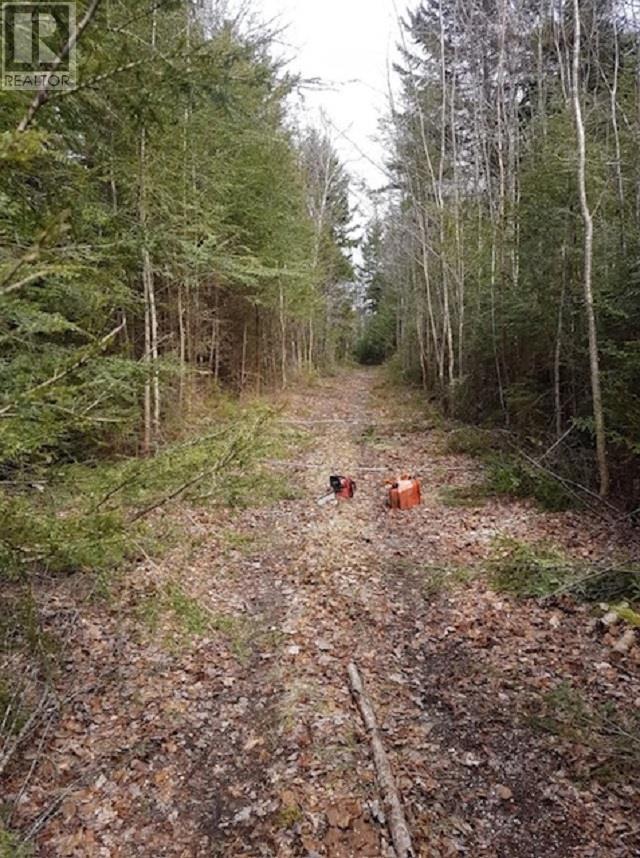Lots Old North Range Road, Gilberts Cove, Nova Scotia  B0W 3T0 - Photo 3 - 202518212