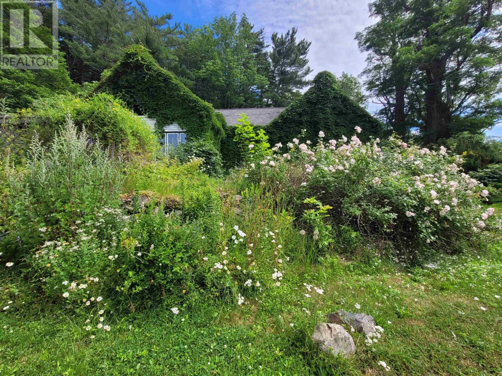 221 Highway 8, Milton, Nova Scotia  B0T 1P0 - Photo 30 - 202518234