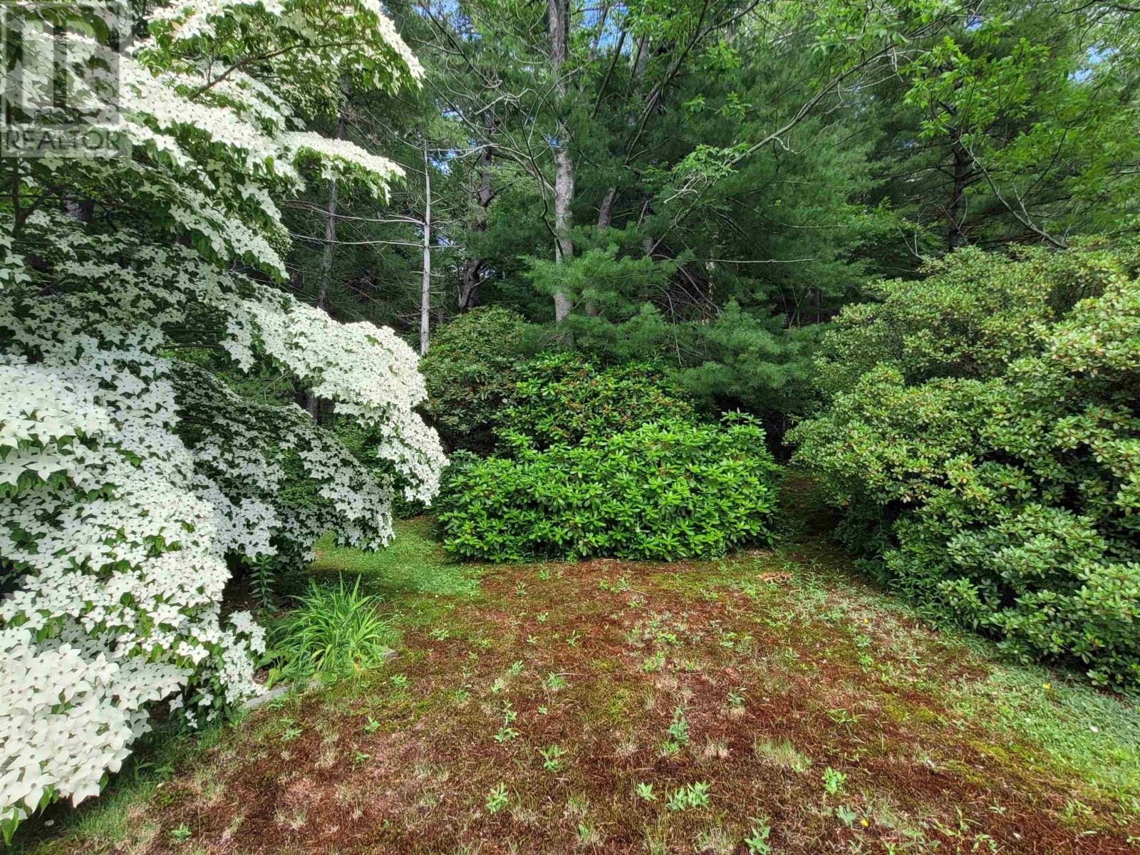 221 Highway 8, Milton, Nova Scotia  B0T 1P0 - Photo 34 - 202518234