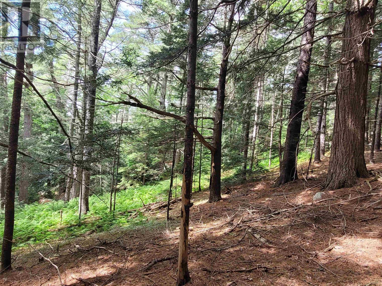 221 Highway 8, Milton, Nova Scotia  B0T 1P0 - Photo 35 - 202518234