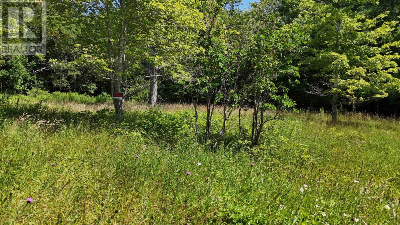2011 Whiteside Road, Whiteside, Nova Scotia  B0E 1J0 - Photo 4 - 202518249