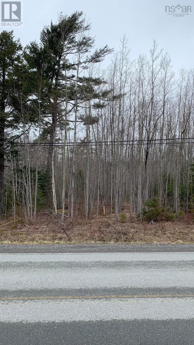 Lot 24-4 Little Harbour Road, Frasers Mountain, Nova Scotia  B2H 3T5 - Photo 4 - 202518269