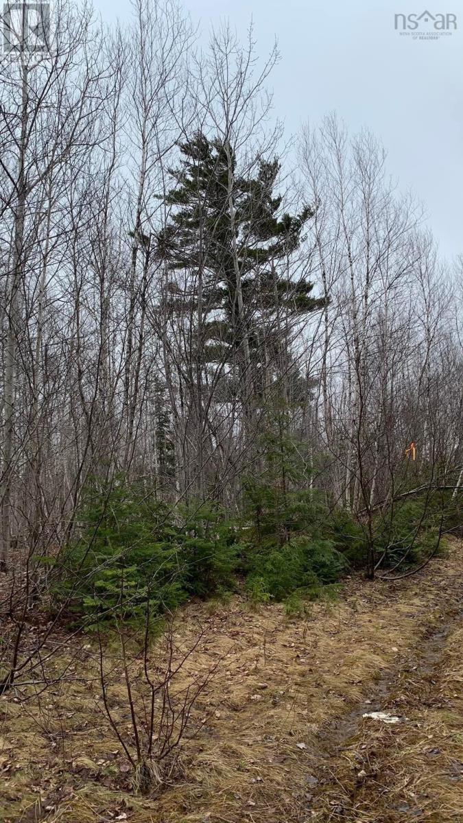 Lot 24-2 Little Harbour Road, Frasers Mountain, Nova Scotia  B2H 3T5 - Photo 2 - 202518271