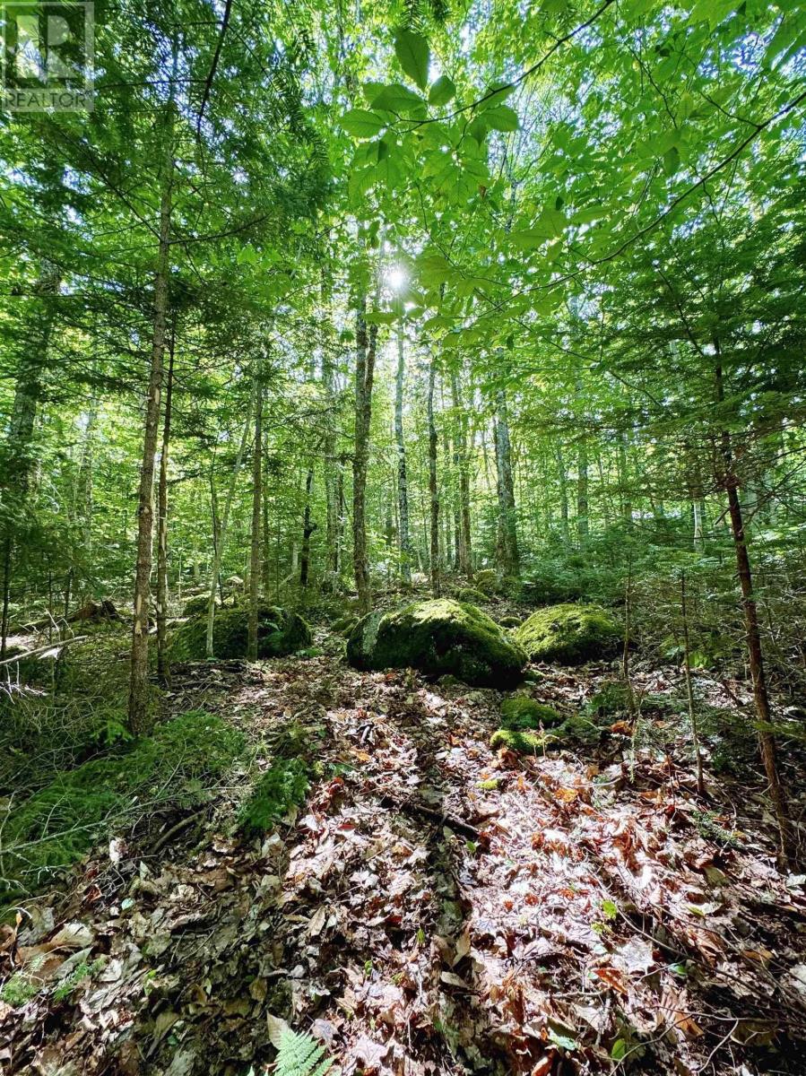 Lot 40 Cliff Road, New Russell, Nova Scotia  B0J 2M0 - Photo 4 - 202518435