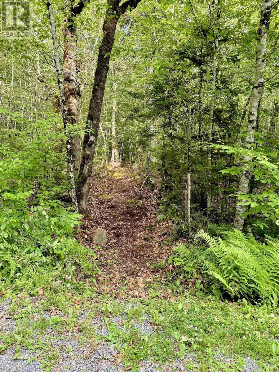 Lot 40 Cliff Road, New Russell, Nova Scotia  B0J 2M0 - Photo 6 - 202518435