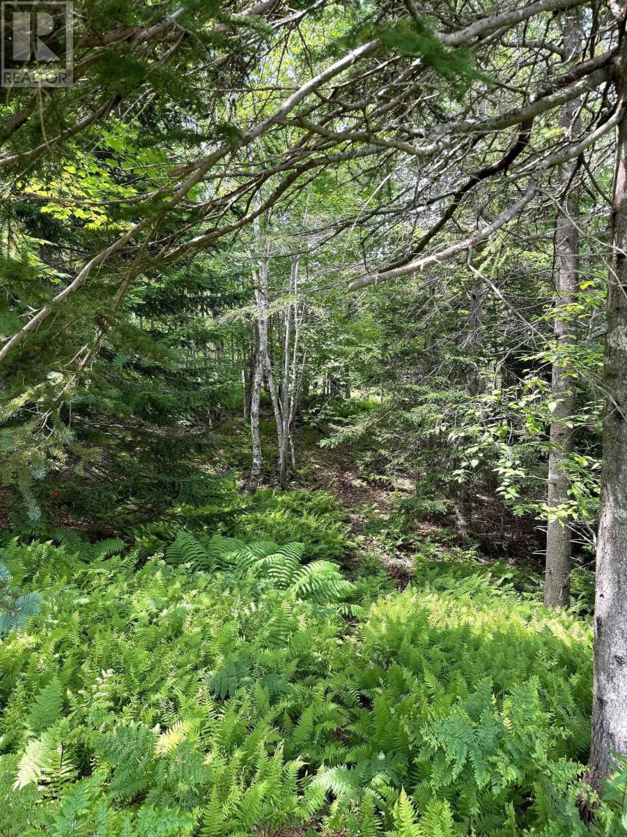 Nature Dream Boulevard, Roberta, Nova Scotia  B0E 3B0 - Photo 39 - 202518494