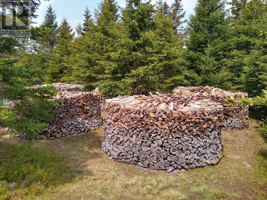 290 Eastside Grand River, Grand River, Nova Scotia  B0E 1M0 - Photo 37 - 202518581