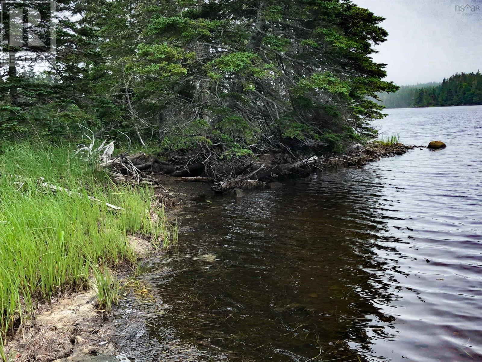 Lot 290 East Side Grand River Road, Grand River, Nova Scotia  B0E 1M0 - Photo 2 - 202518594