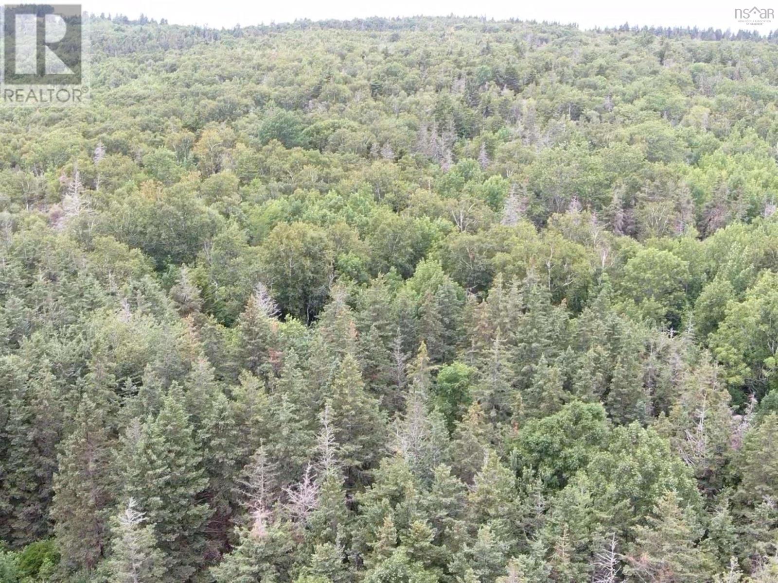 Lot Shore Road E, Hampton, Nova Scotia  B0S 1L0 - Photo 3 - 202518755