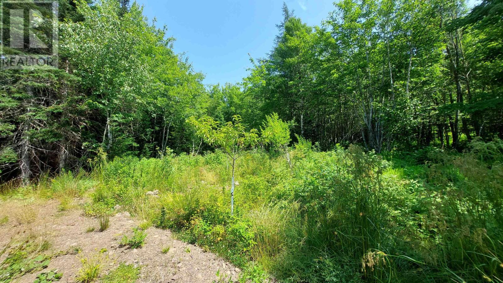 75 Evanston Rd, Cleveland, Nova Scotia  B0E 1J0 - Photo 21 - 202518843