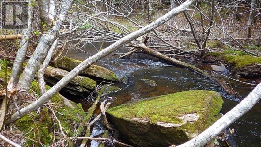 75 Evanston Rd, Cleveland, Nova Scotia  B0E 1J0 - Photo 26 - 202518843