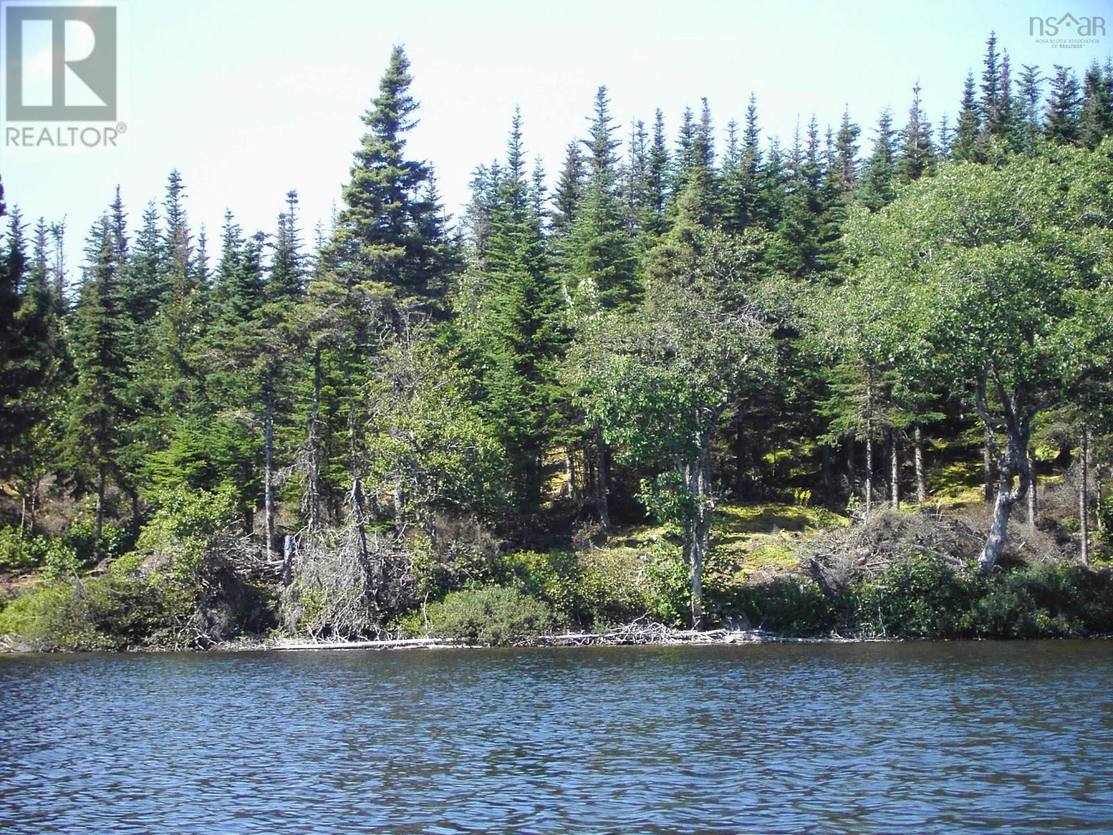 45 Joanne Langford Dr, French Road, Nova Scotia  B1K 3P9 - Photo 3 - 202518955