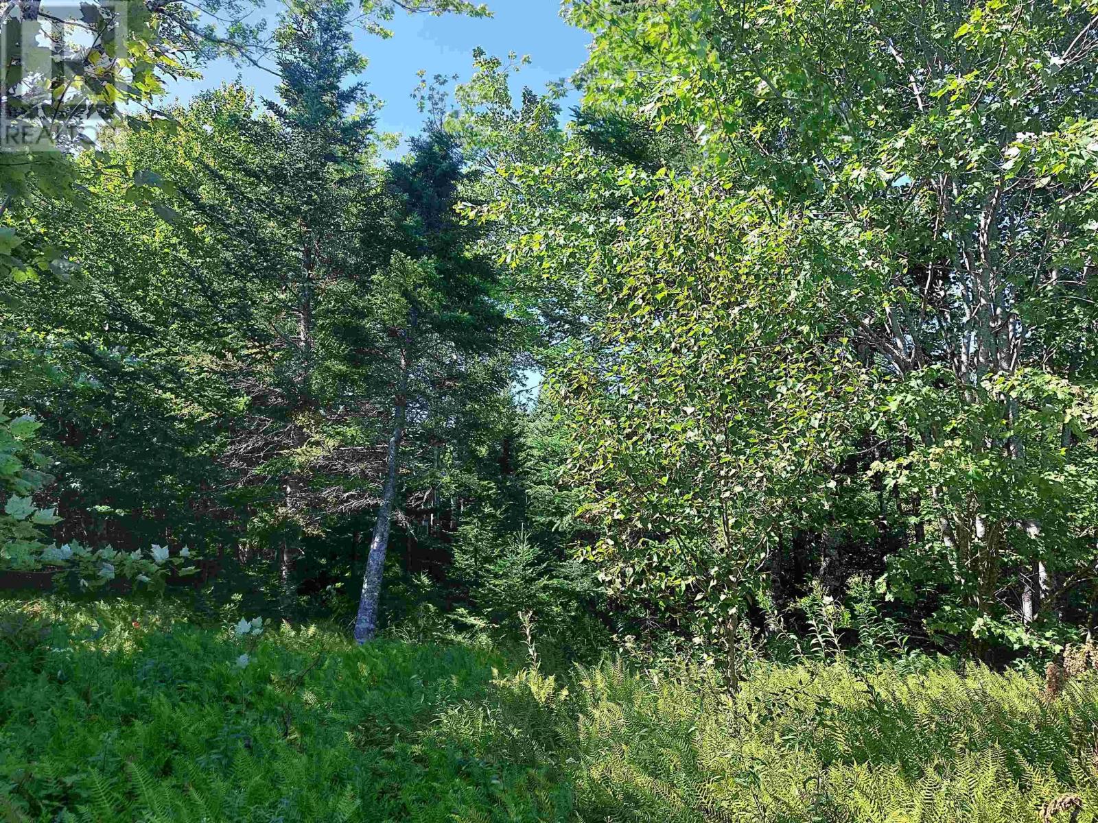 45 Joanne Langford Dr, French Road, Nova Scotia  B1K 3P9 - Photo 5 - 202518955