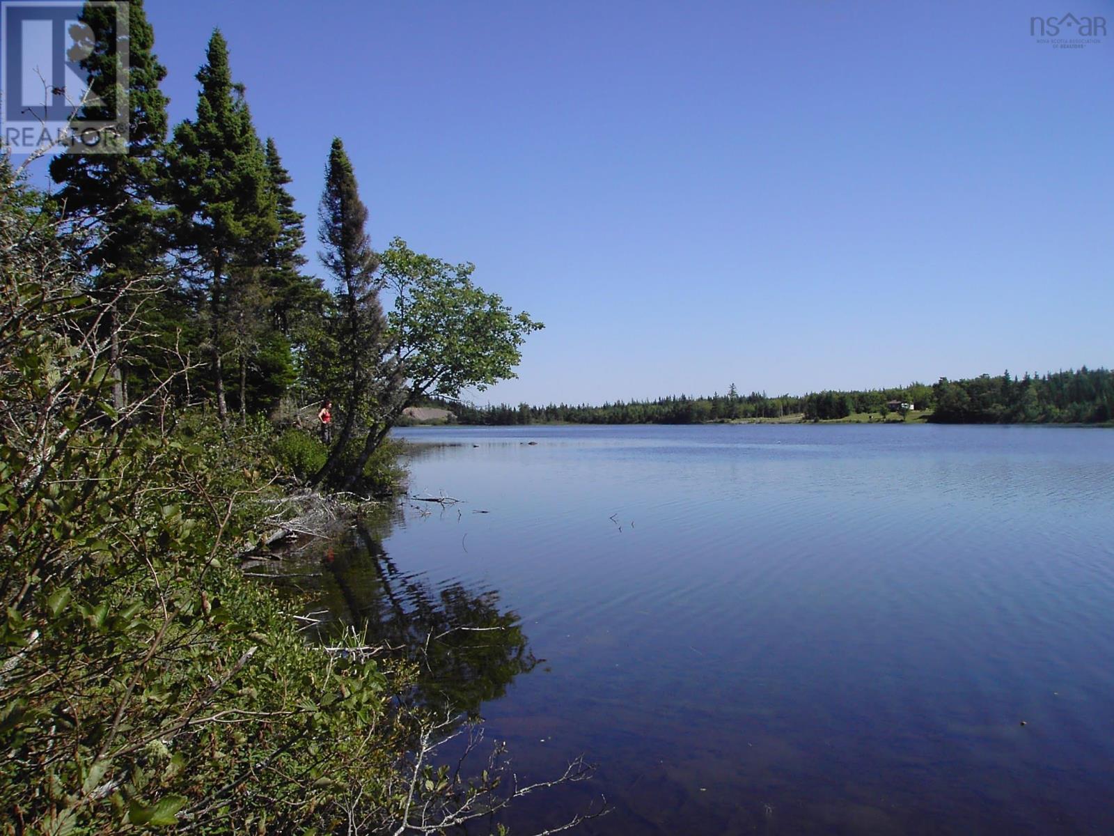 45 Joanne Langford Dr, French Road, Nova Scotia  B1K 3P9 - Photo 8 - 202518955