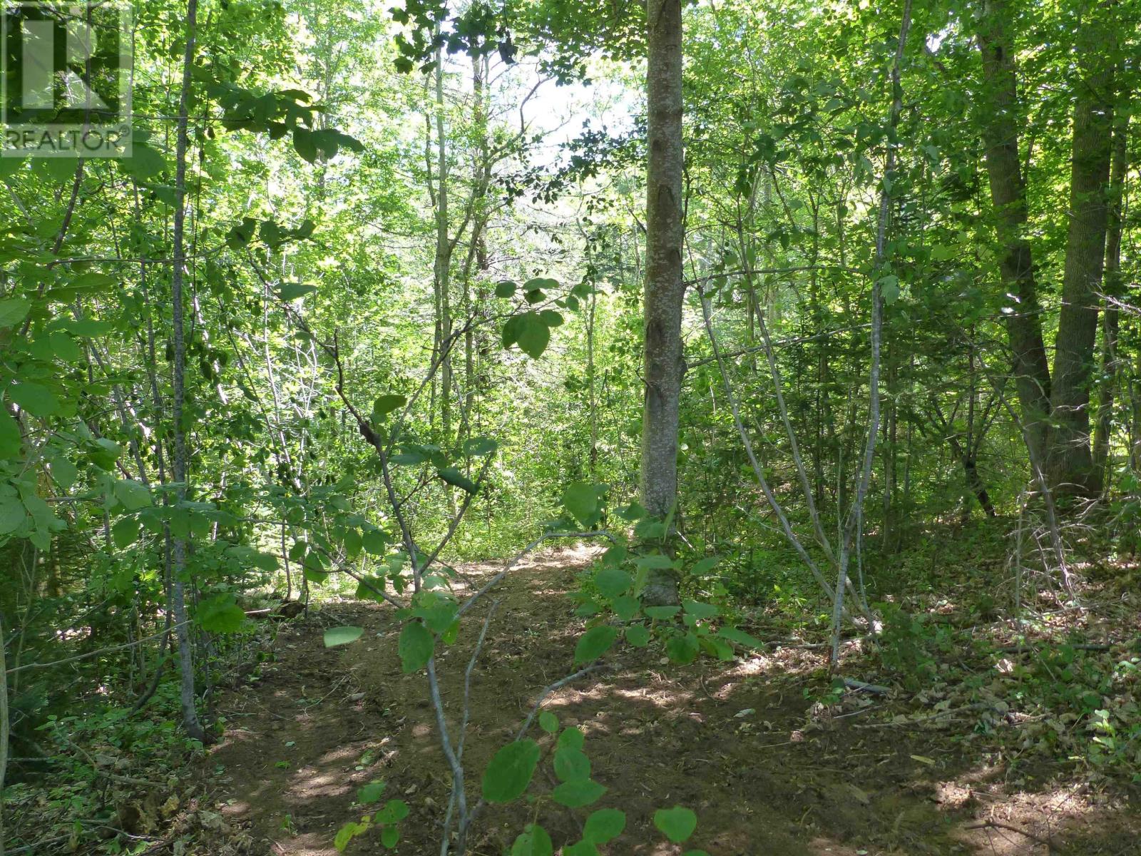 Lot 2 Highway 1, Clementsport, Nova Scotia  B0S 1E0 - Photo 11 - 202519034