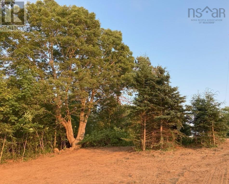 Lot 2 Highway 1, Clementsport, Nova Scotia  B0S 1E0 - Photo 8 - 202519034