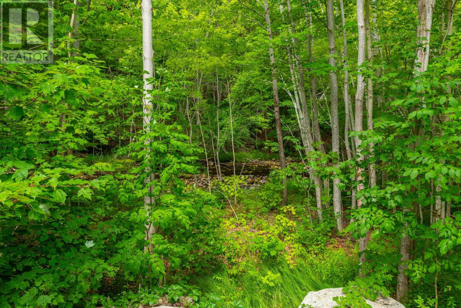 Lot 1438 River Road, Bear River, Nova Scotia  B0S 1B0 - Photo 10 - 202519049