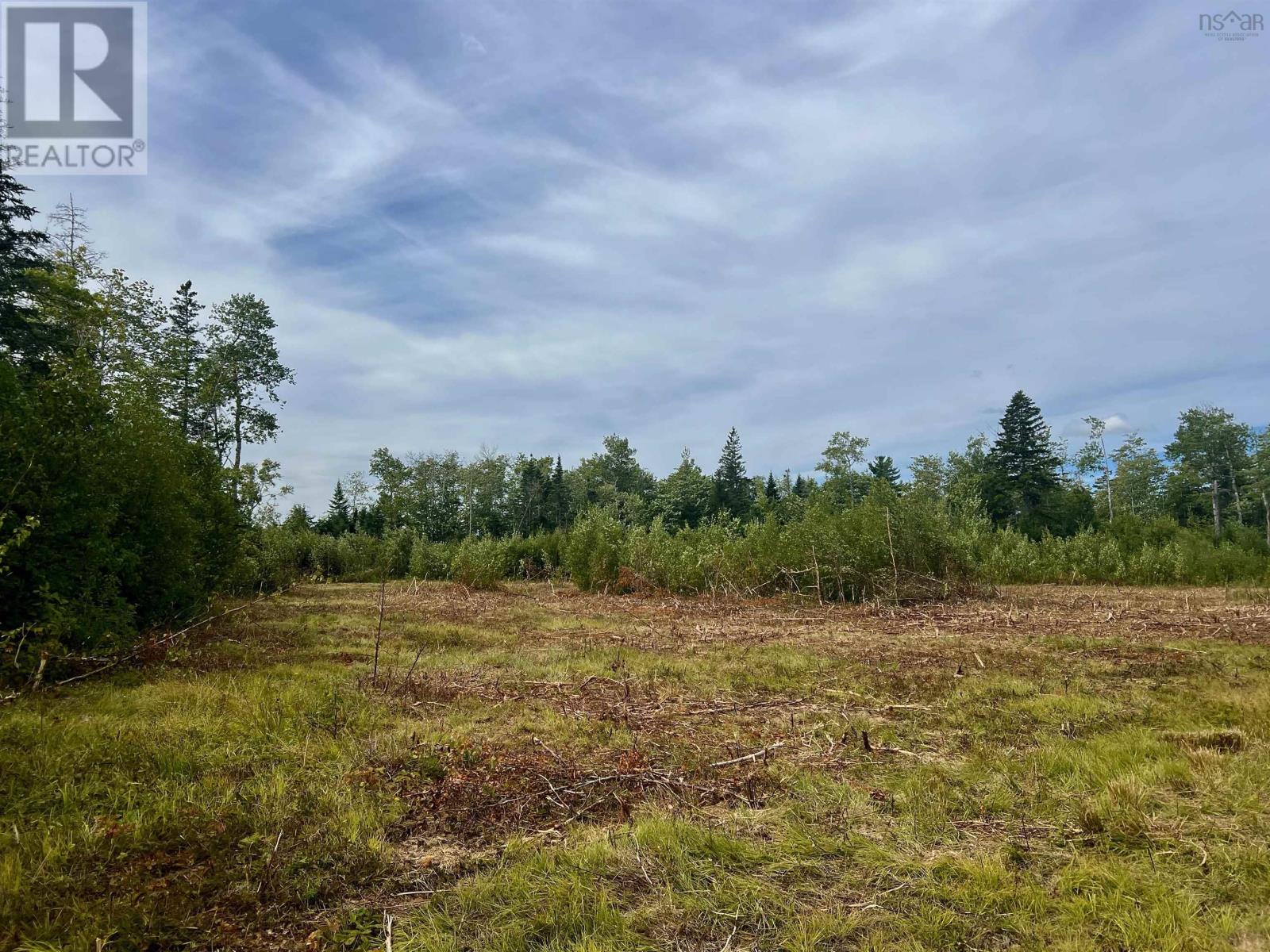 Lot 9 Peck Meadow Road, Greenfield, Nova Scotia  B4P 2R1 - Photo 6 - 202519084