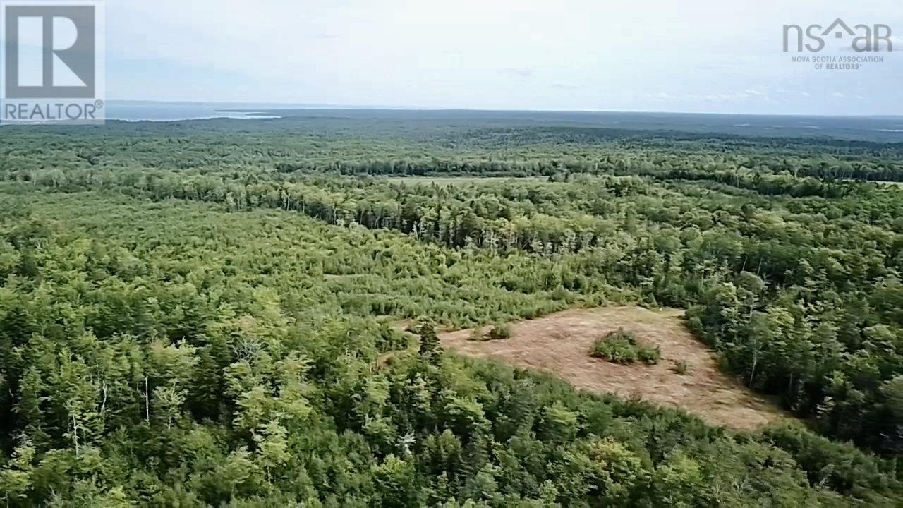 Lot 9 Peck Meadow Road, Greenfield, Nova Scotia  B4P 2R1 - Photo 8 - 202519084