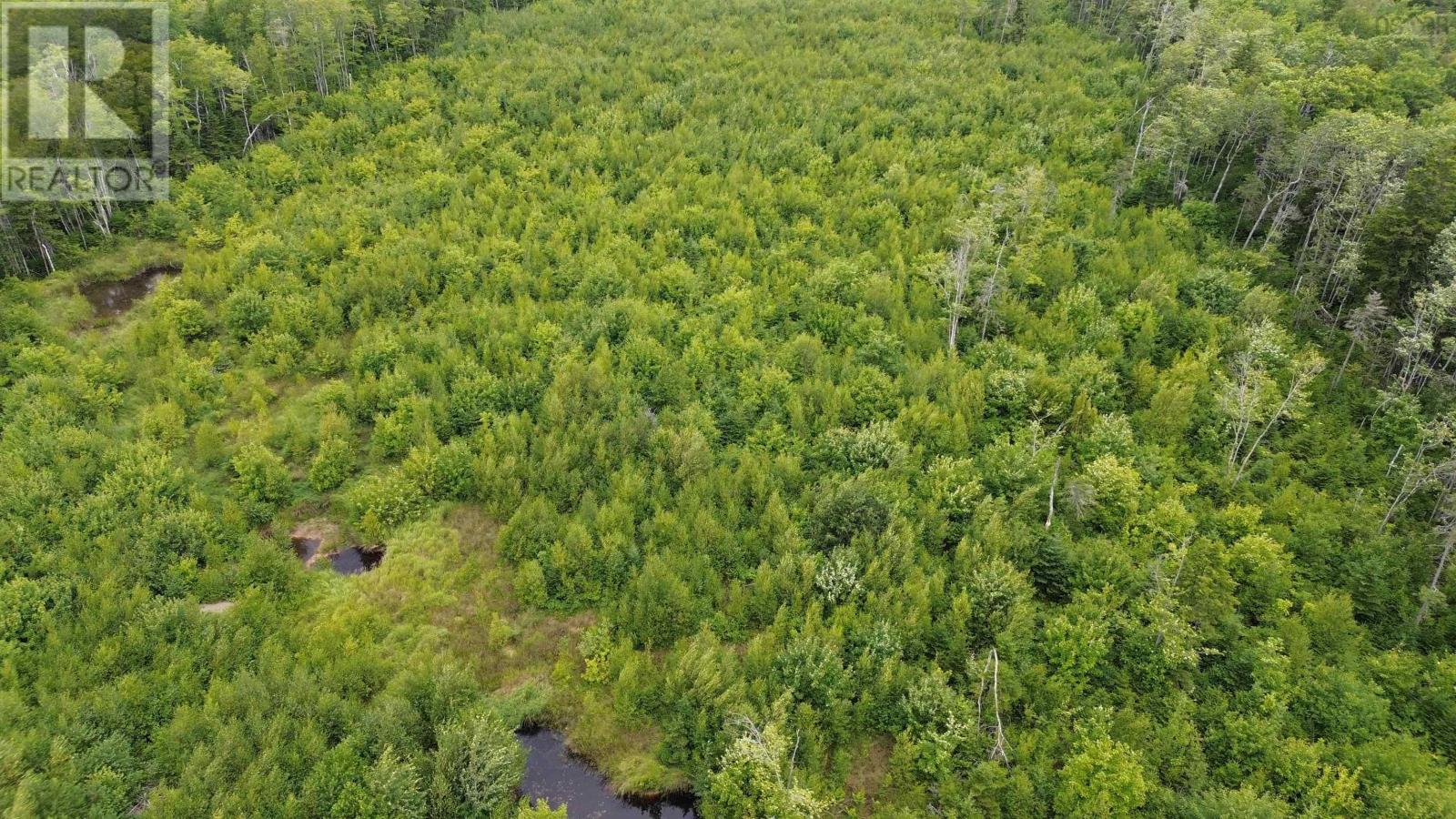 Lot 10 Peck Meadow Road, Greenfield, Nova Scotia  B4P 2R1 - Photo 12 - 202519093