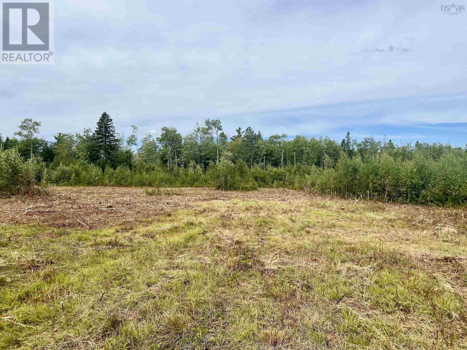 Lot 10 Peck Meadow Road, Greenfield, Nova Scotia  B4P 2R1 - Photo 2 - 202519093