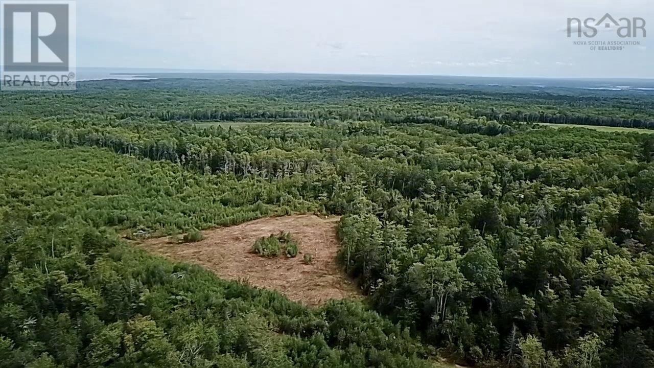 Lot 10 Peck Meadow Road, Greenfield, Nova Scotia  B4P 2R1 - Photo 4 - 202519093