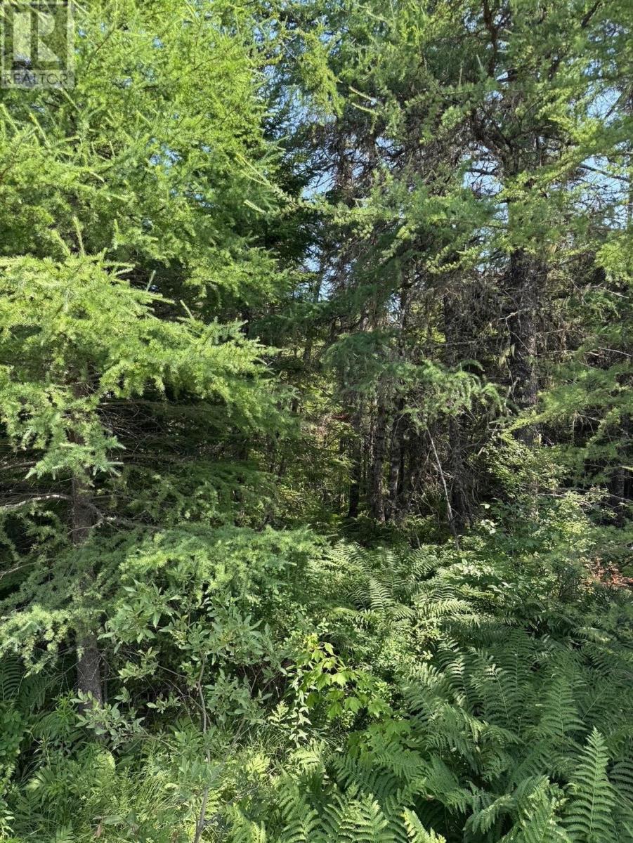 Lot 54 Highway 4, Kempt Road, Helmuts Lane, Cleveland, Nova Scotia  B0E 1J0 - Photo 11 - 202519191