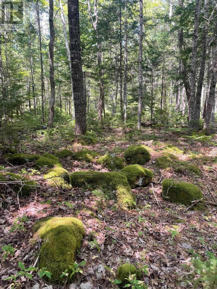 960 Highway 208, Simpsons Corner, Nova Scotia  B0R 1E0 - Photo 35 - 202519264