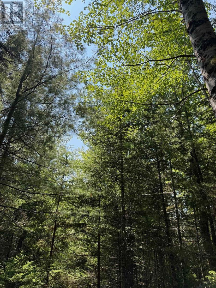 960 Highway 208, Simpsons Corner, Nova Scotia  B0R 1E0 - Photo 36 - 202519264