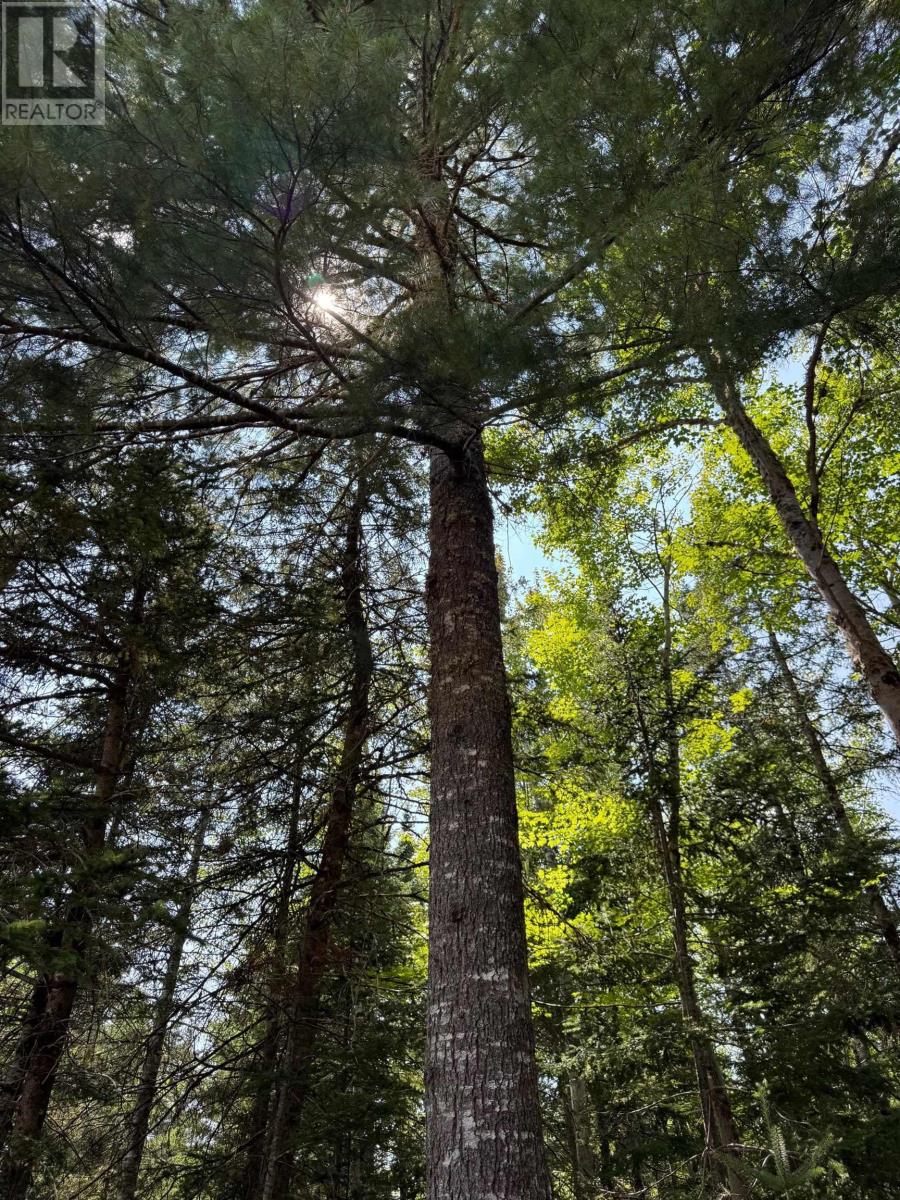 960 Highway 208, Simpsons Corner, Nova Scotia  B0R 1E0 - Photo 37 - 202519264