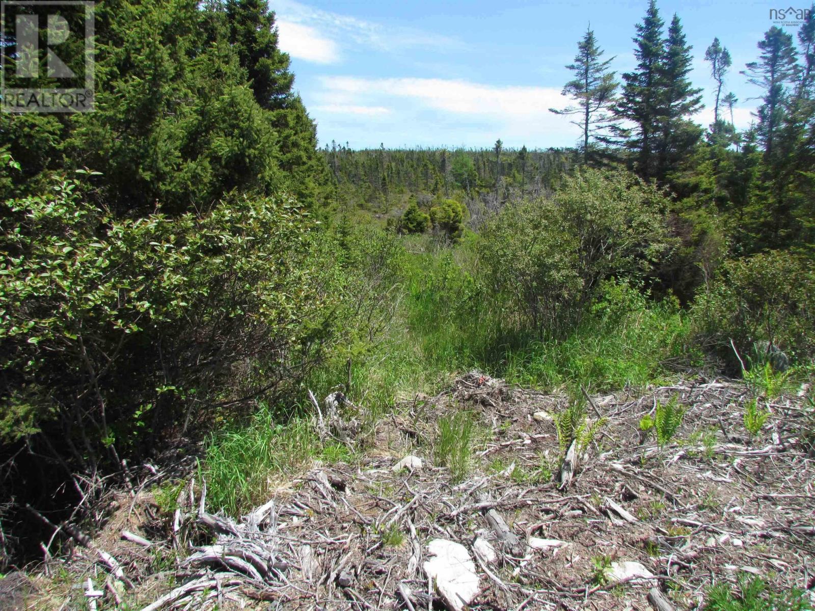 Lot R3 Three Fathom Harbour Road, Three Fathom Harbour, Nova Scotia  B0J 1N0 - Photo 10 - 202519260