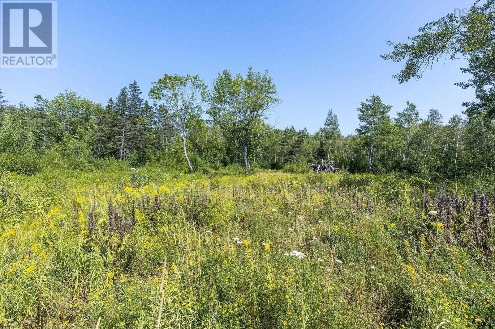 Lot 1 Haul Road, Granville Ferry, Nova Scotia  B0S 1A0 - Photo 40 - 202519398