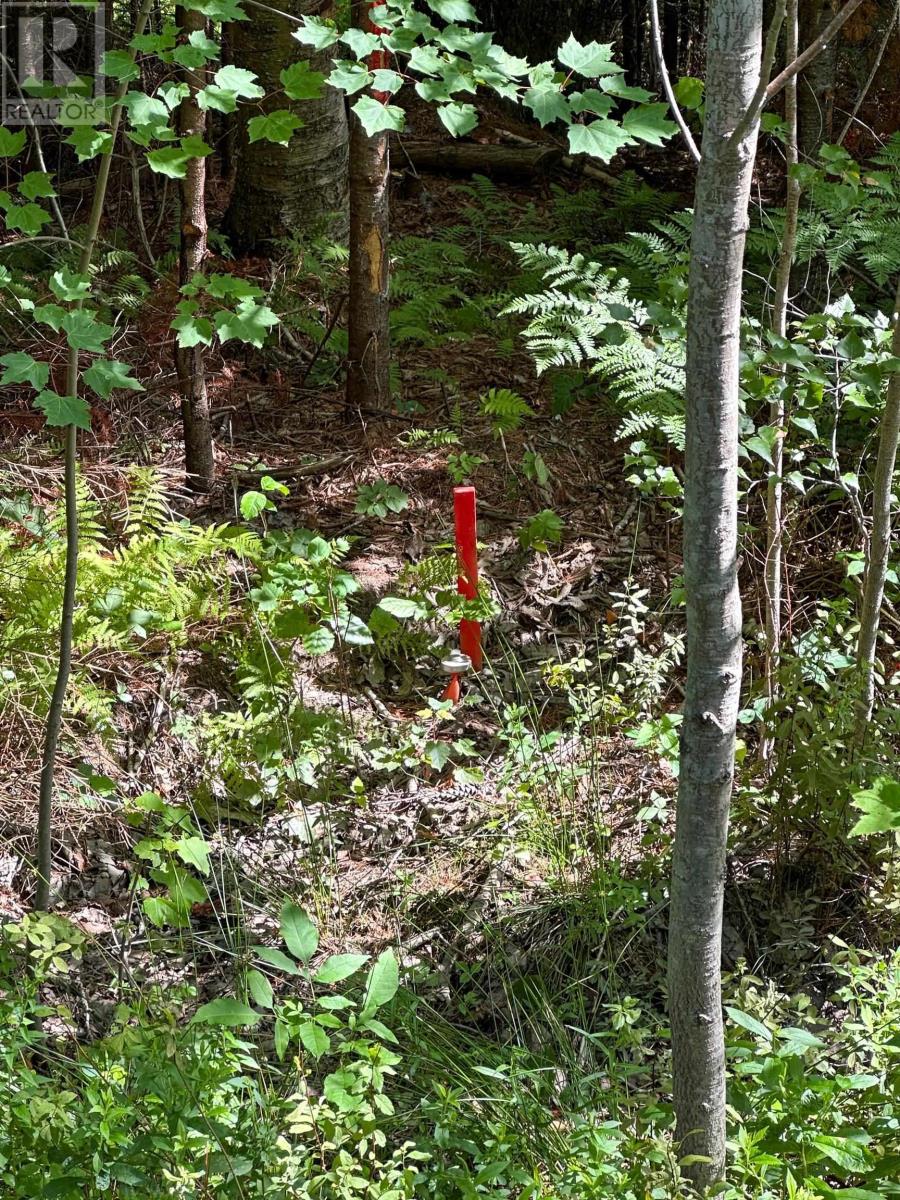 Lot 101 Crouses Settlement Road, Crouses Settlement, Nova Scotia  B0J 2C0 - Photo 7 - 202519474
