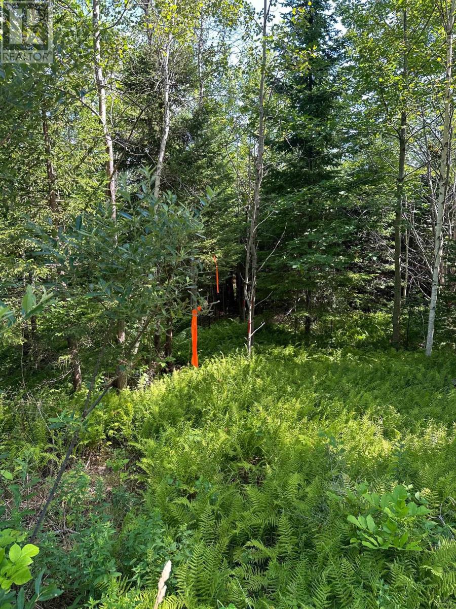 Lot 102 Crouses Settlement Road, Crouses Settlement, Nova Scotia  B0J 2C0 - Photo 6 - 202519475