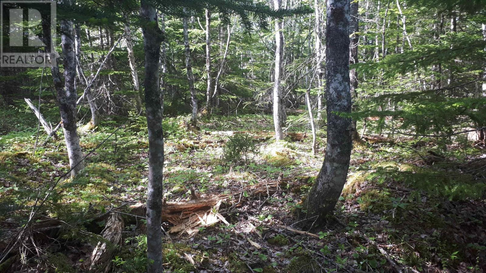 Lot 15 Walkerville Rd.,, Walkerville, Nova Scotia  B0E 1J0 - Photo 8 - 202519501